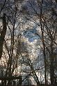 CLC2008-03-13_30