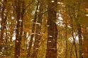 CLC2008-11-01_36