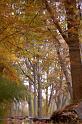 CLC2008-11-01_66