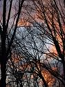 CLC2008-11-16_25