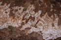 CLC2009-03-07_64