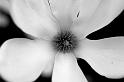 CLC2009-04-18_22