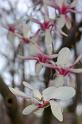 CLC2009-04-18_38