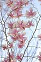 CLC2009-04-18_45