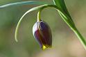 CLC2009-04-18_5